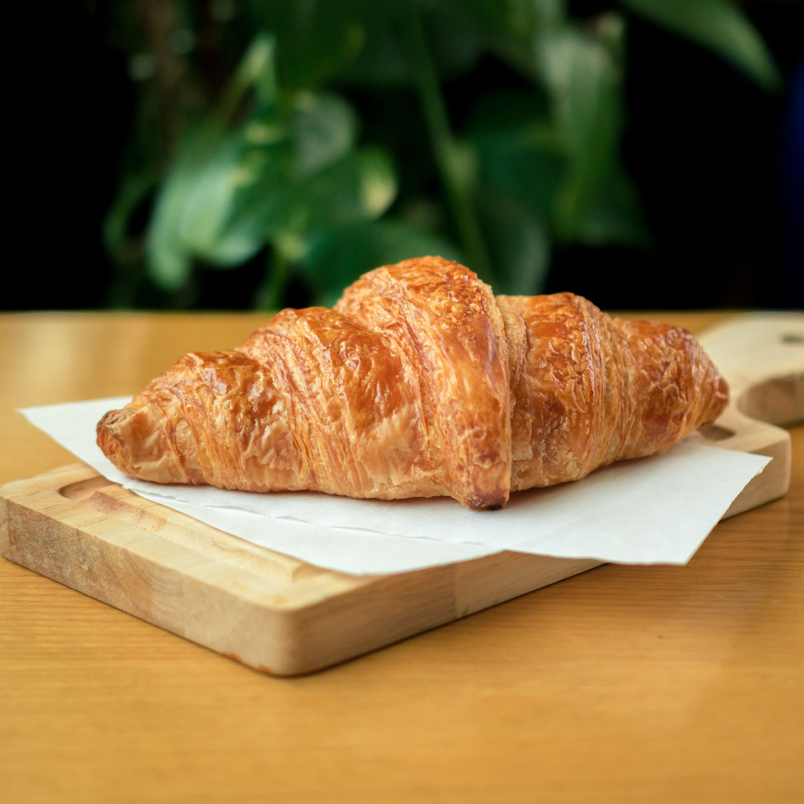 A deeply golden croissant with glossy, flaky layers resting on baking paper
