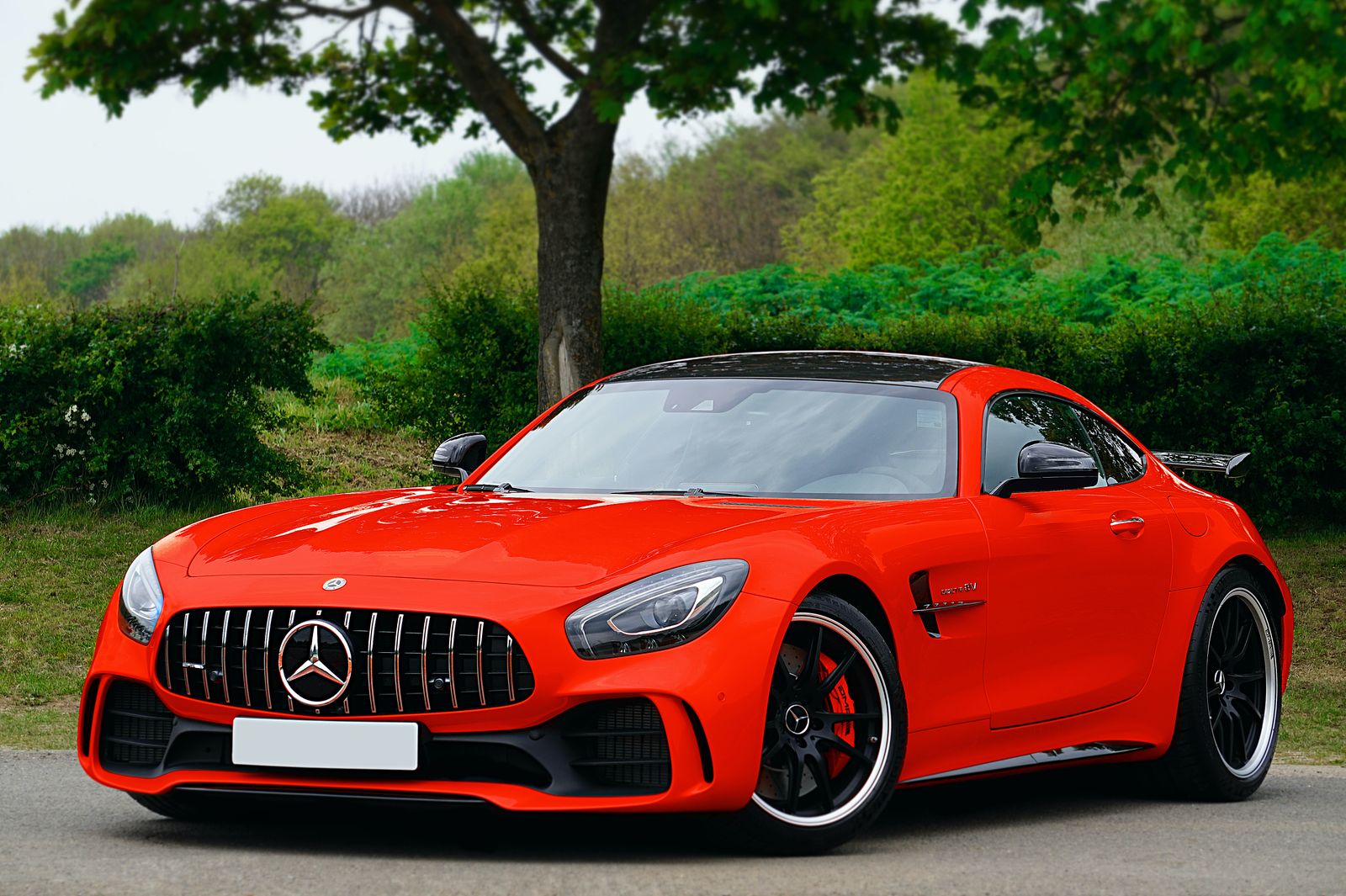 Red Mercedes-AMG GT R parked under a tree